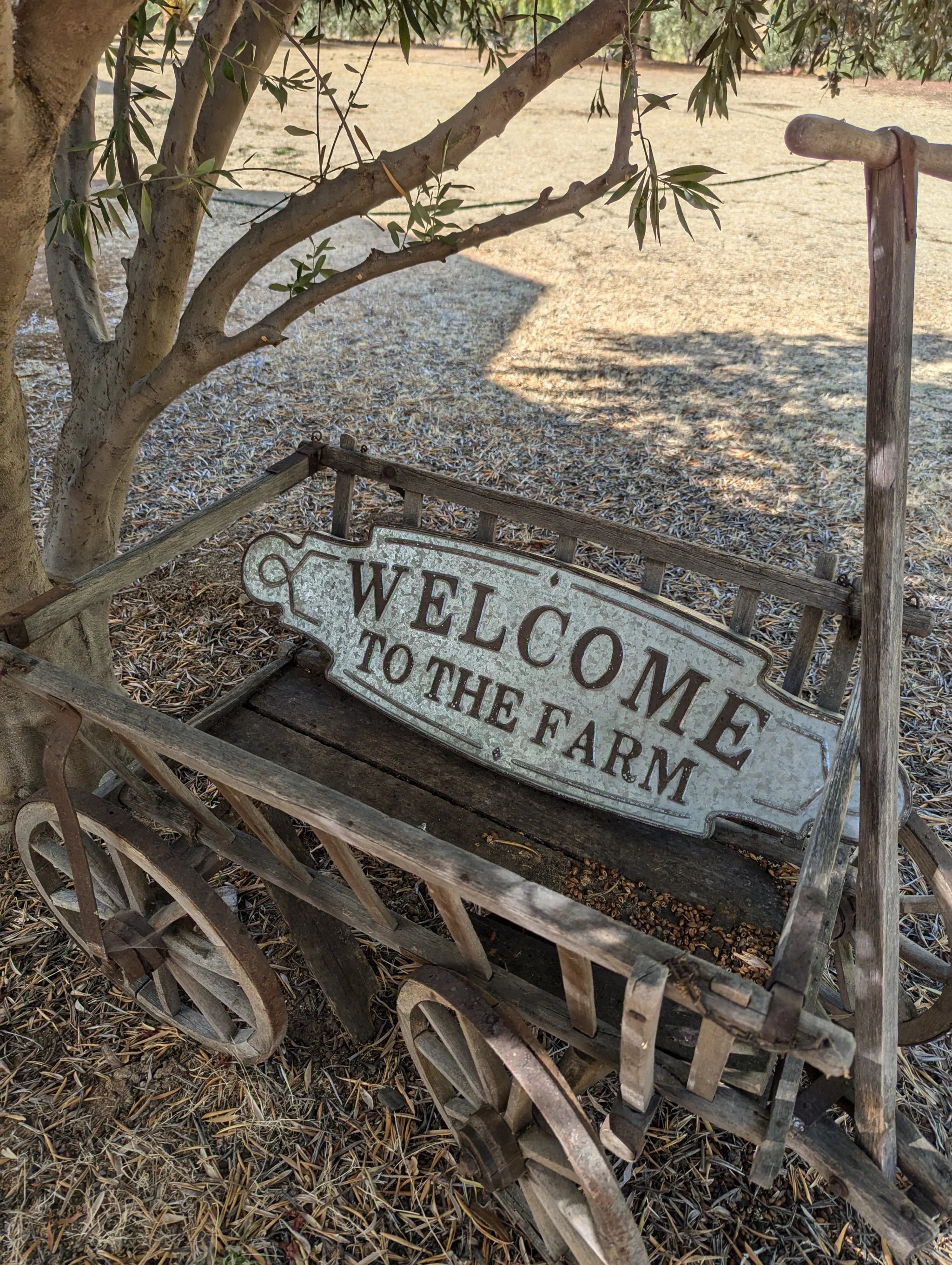 Welcome_to_the_Stavros_Olive_Company_Farm_69a38a7f-c6cb-4200-b936-5d70c92f90a6